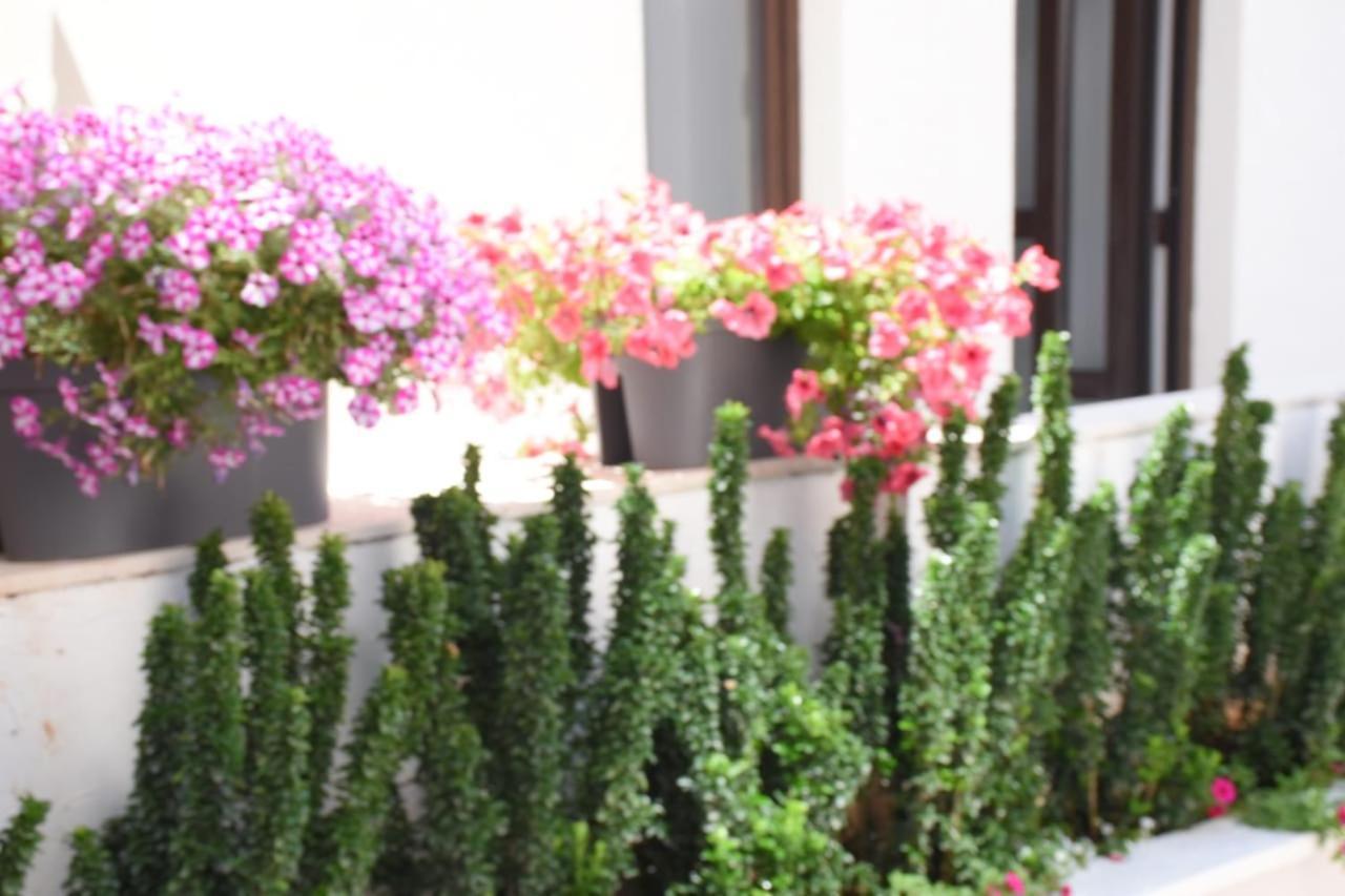 Apartments Petar บุดวา ภายนอก รูปภาพ